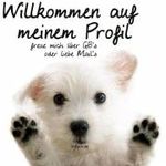 Profil (WALTER12)